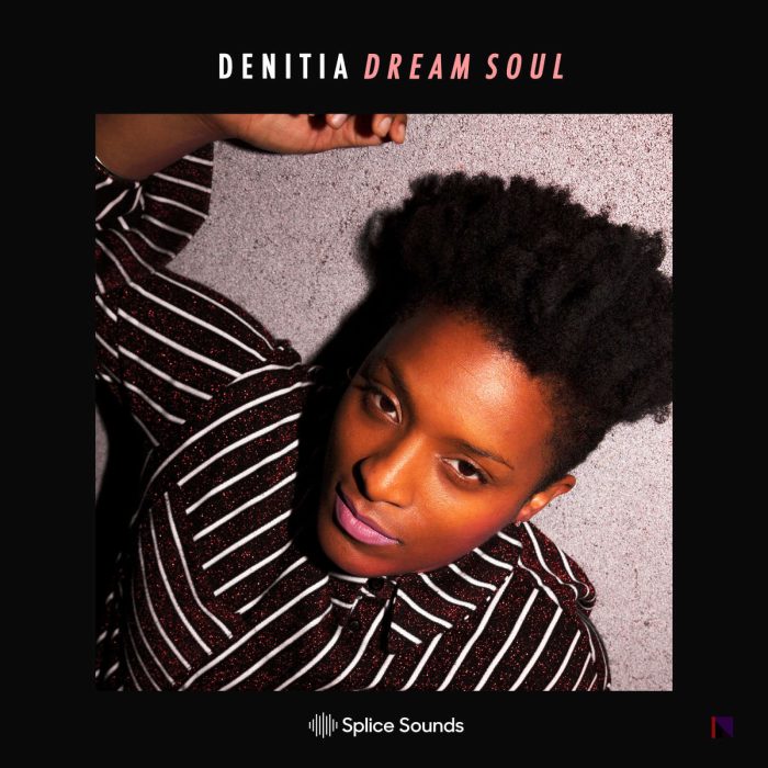 Splice Sounds Denitia Dream Soul