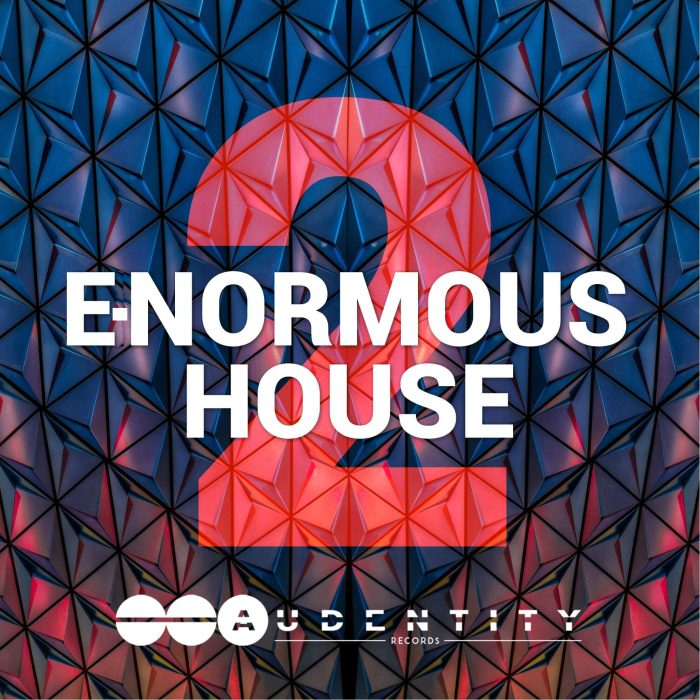 Audentity Records E-Nourmous House 2