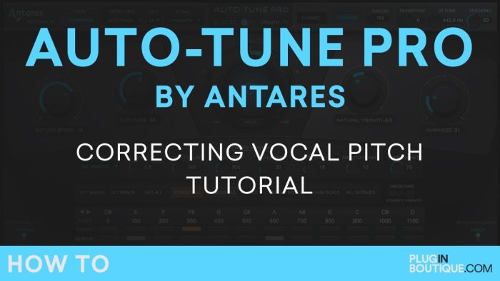 PIB AutoTune Pro tutorial