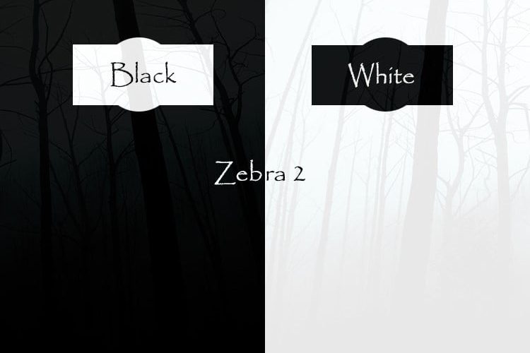 Triple Spiral Audio Black and White for Zebra 2