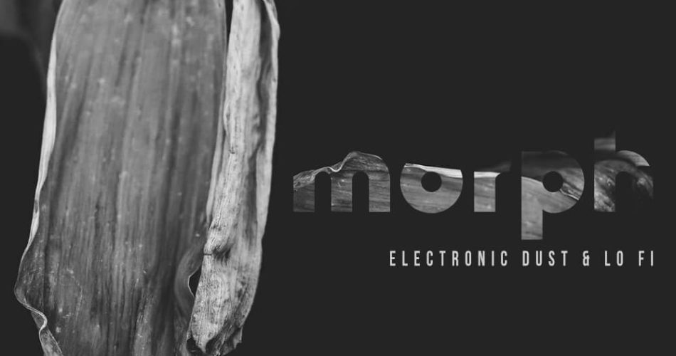 Audiomodern Morph