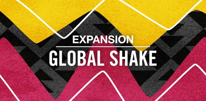 NI Global Shake Expansion