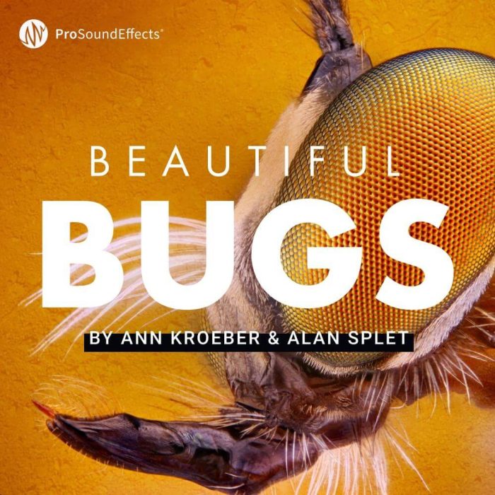 Pro Sound Effects Beautiful Bugs