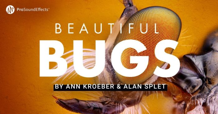 Pro Sound Effects Beautiful Bugs