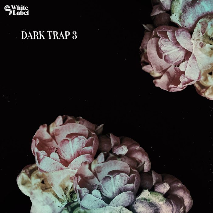 Sample Magic Dark Trap 3