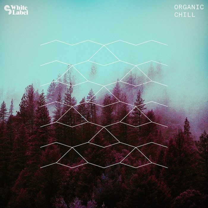 Organic Chill, Post-Rock Guitars & Ambient and Atmospheric Patches at ...