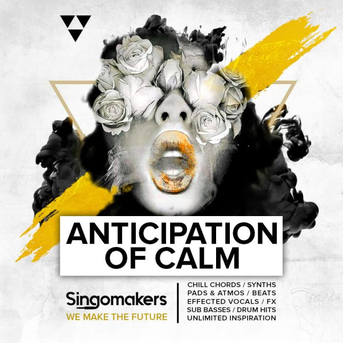 Singomakers Anticipation Of Calm