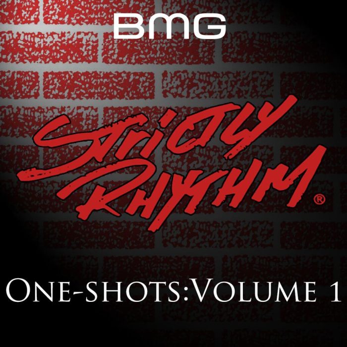 Sounds Strictly Rhythm Vol 1
