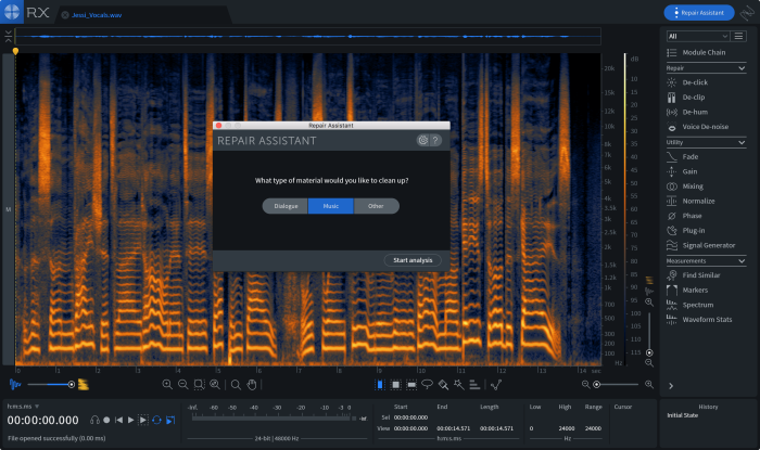 iZotope RX 7 Elements Repair Assistant