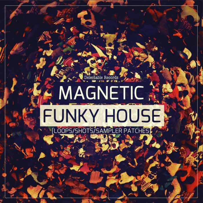 Delectable Records Magnetic Funky House