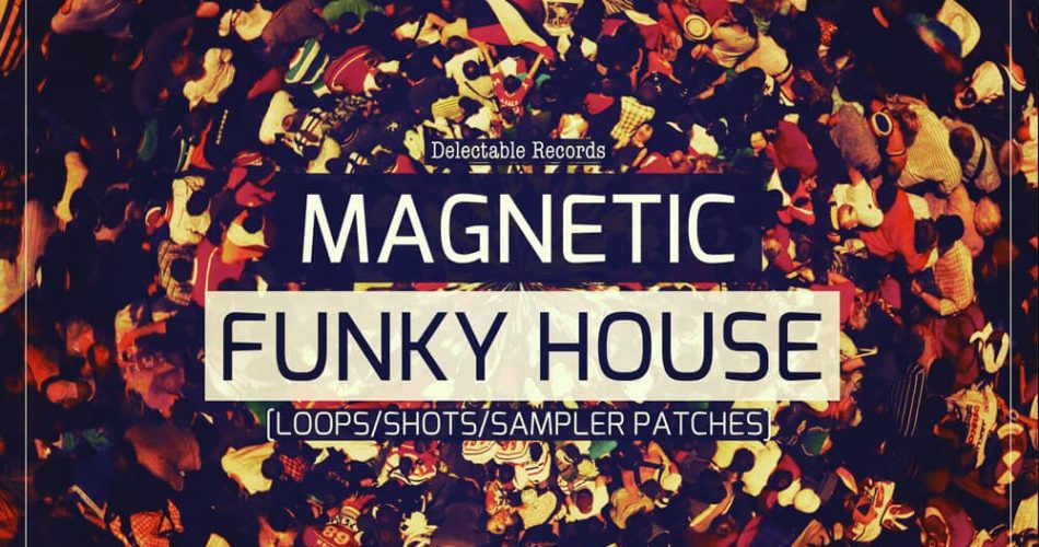 Delectable Records Magnetic Funky House