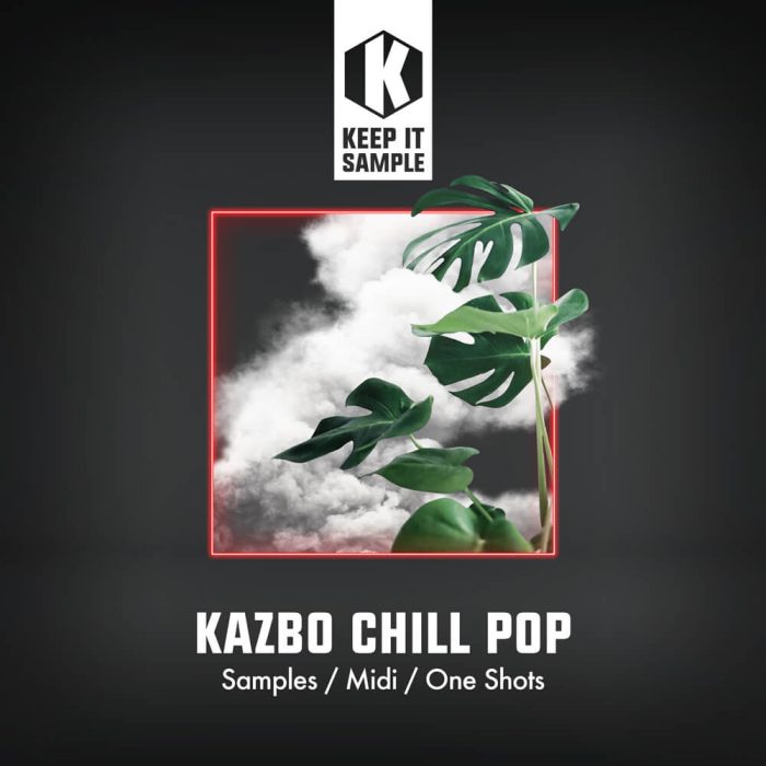 Keep It Sample Kazbo Chill Pop