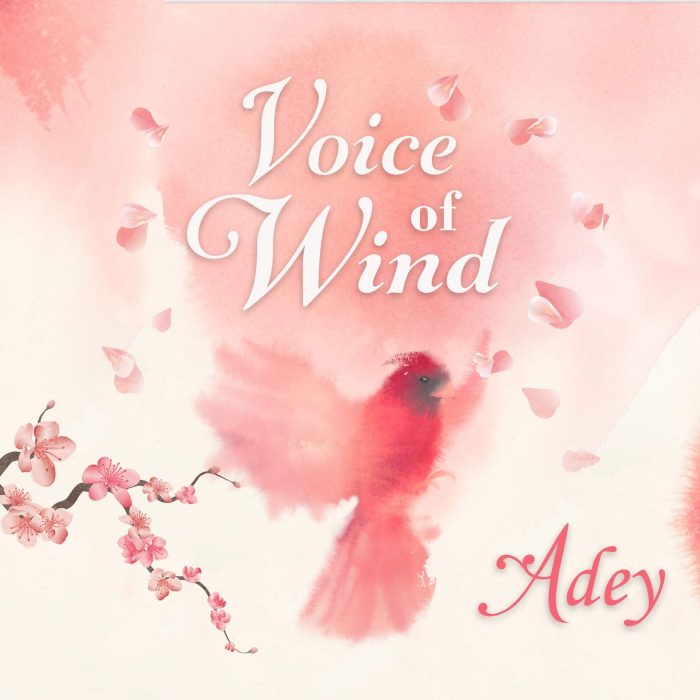 Soundiron Voice of Wind Adey