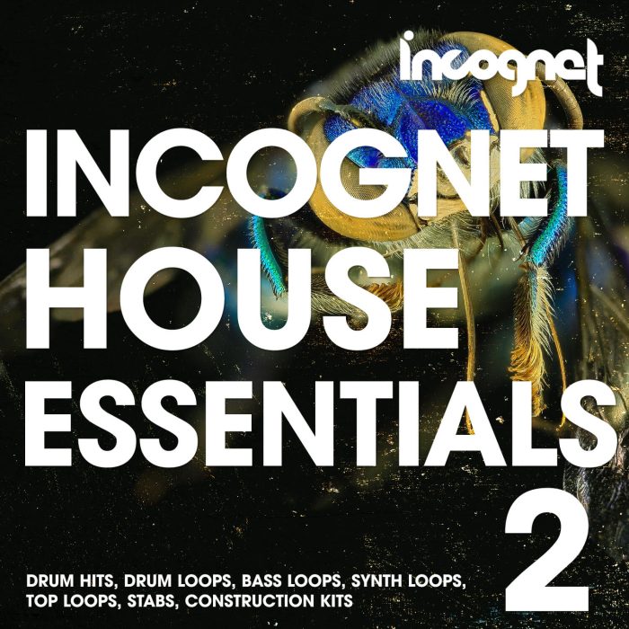 Incognet House Essential Vol 2
