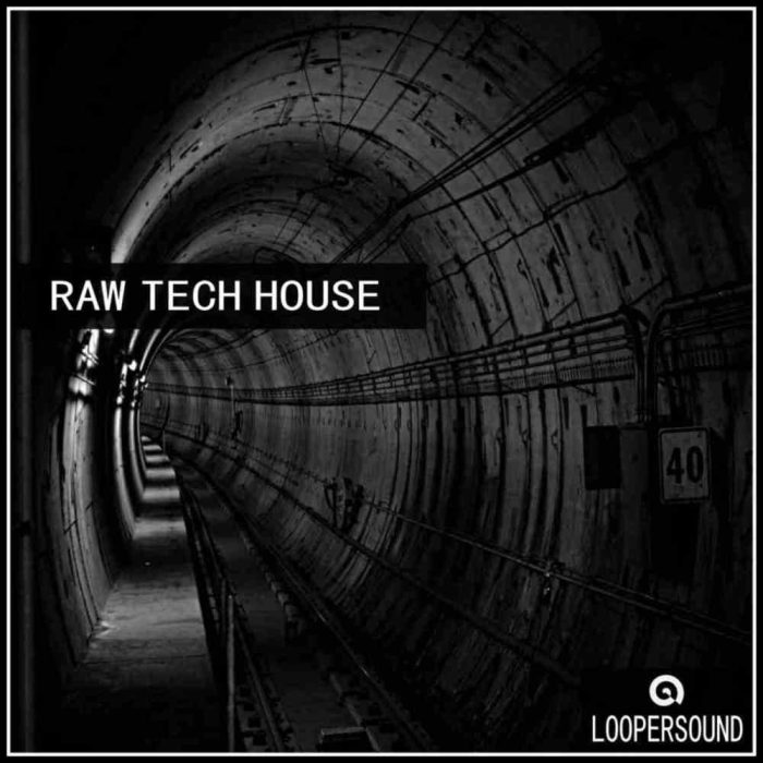 Loopersound Raw Tech House