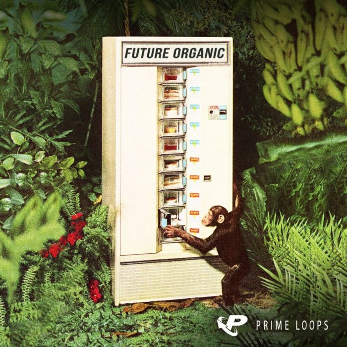 Prime Loops Future Organic