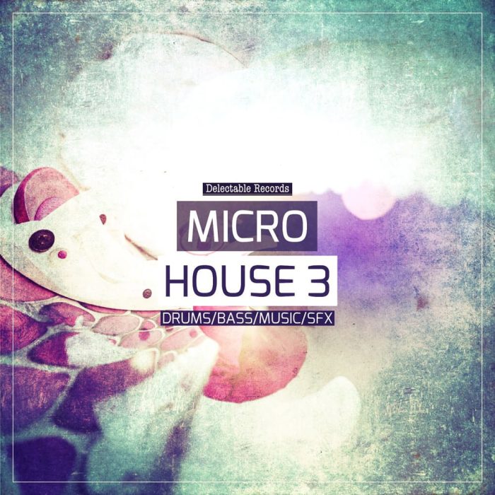 Delectable Records Micro House 3