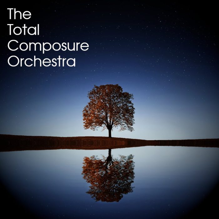 The Total Composure Orchestra Kontakt 5 Instruments Free