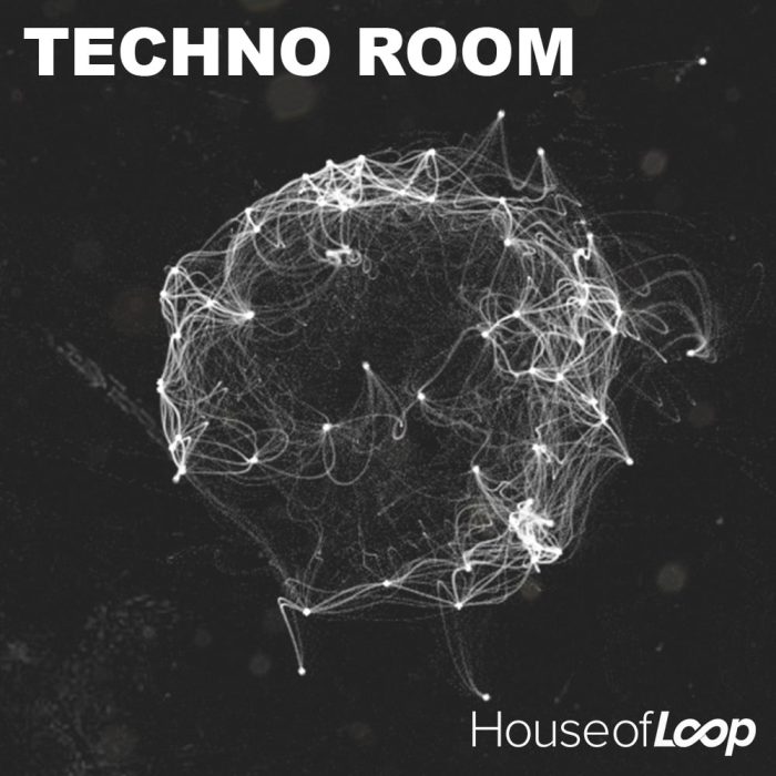 House of Loop Techno Room