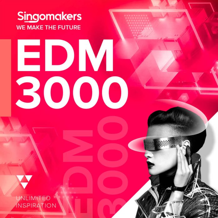 Singomakers EDM 3000