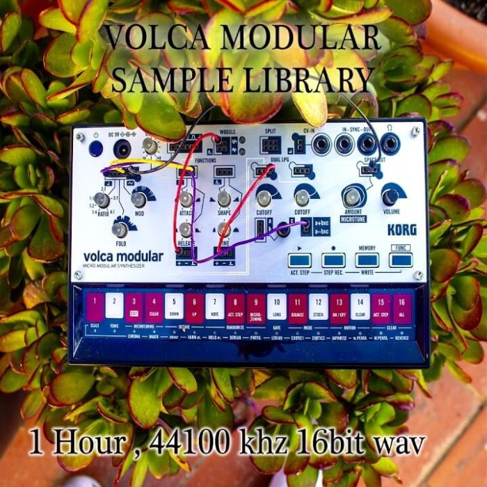 Softrave Volca Modular