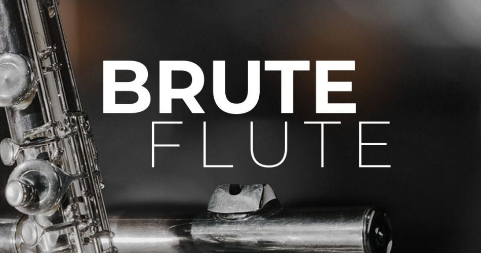 Sonixinema releases Brute Flute - Extended Techniques, rare contrabass flute textures