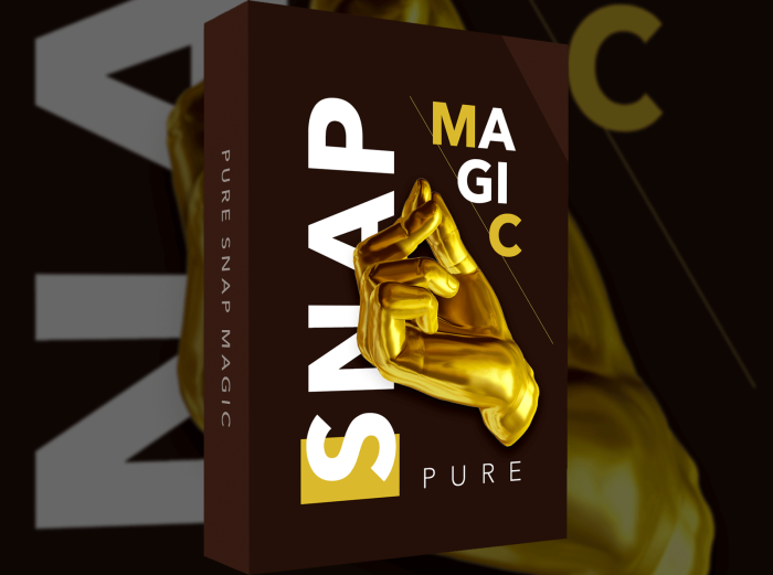 VST Buzz Pure Snap Magic