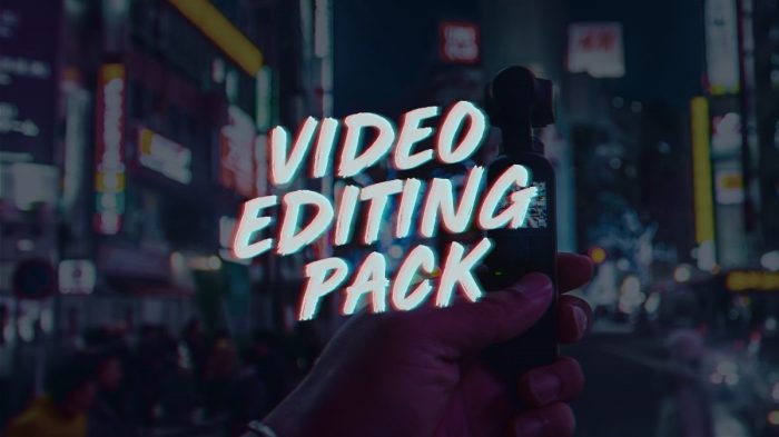 Accusonus ERA Video Editing Pack