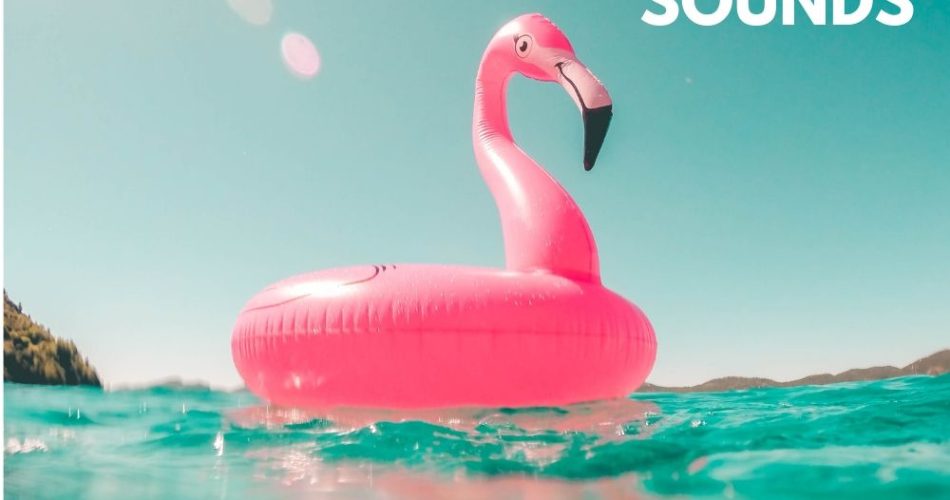 Audentity Records Summer Sounds 2019