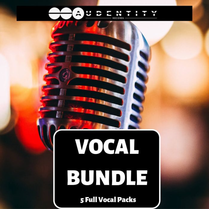 Audentity Records Vocal Bundle