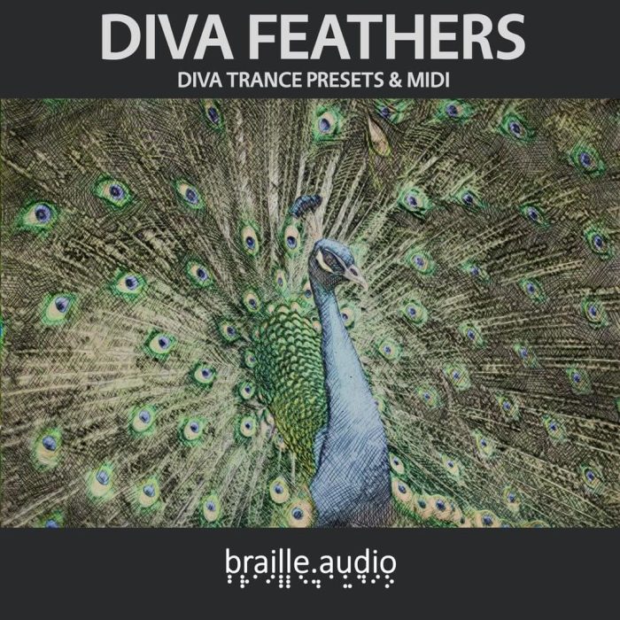 Braille Audio Diva Feathers