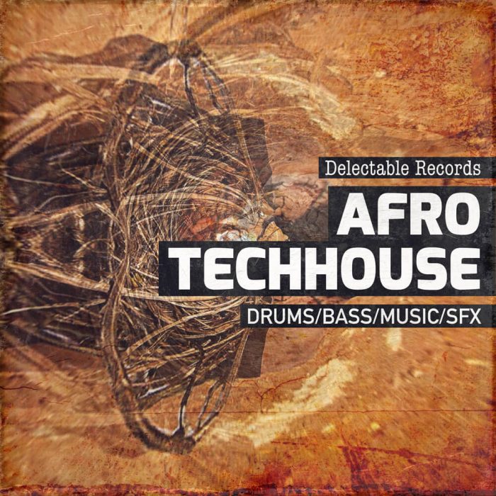 Delectable Records Afro TechHouse 01