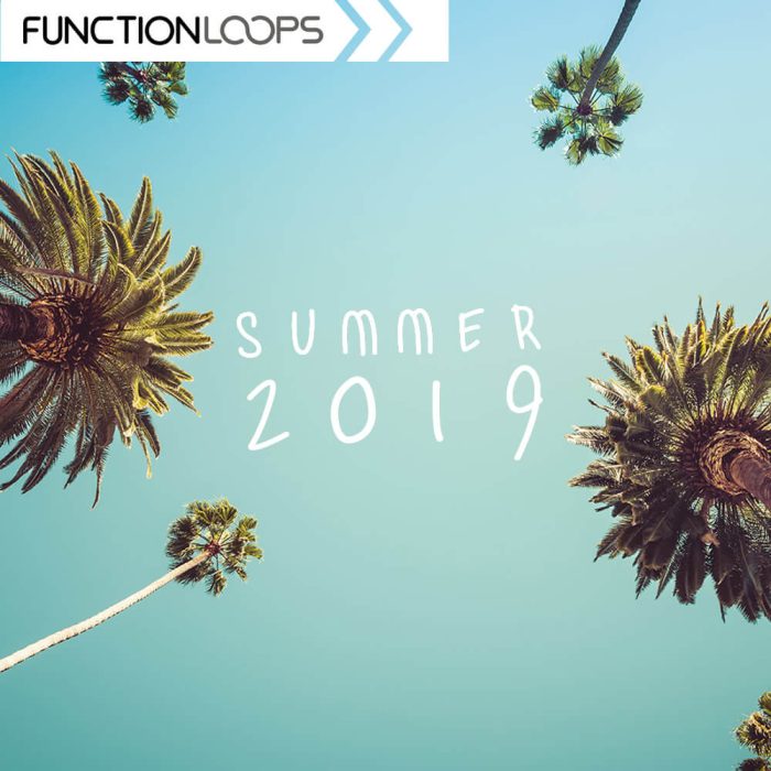 Function Loops Summer 2019