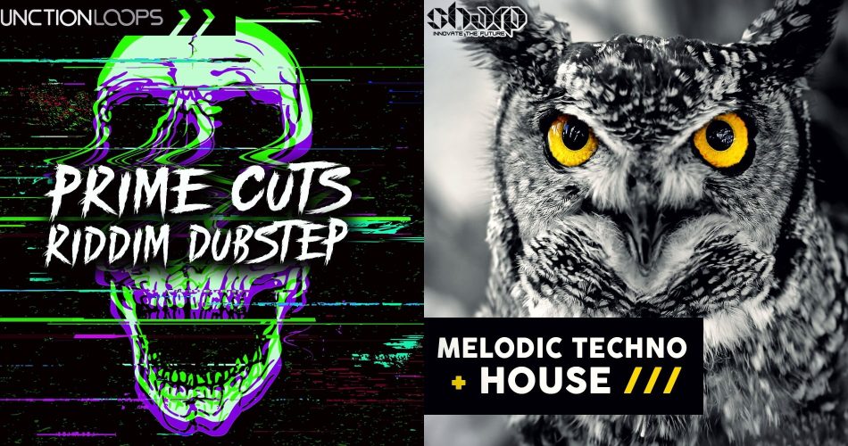 Function Loops Prime Cuts Riddem Dubstep & SHARP Melodic Techno & House