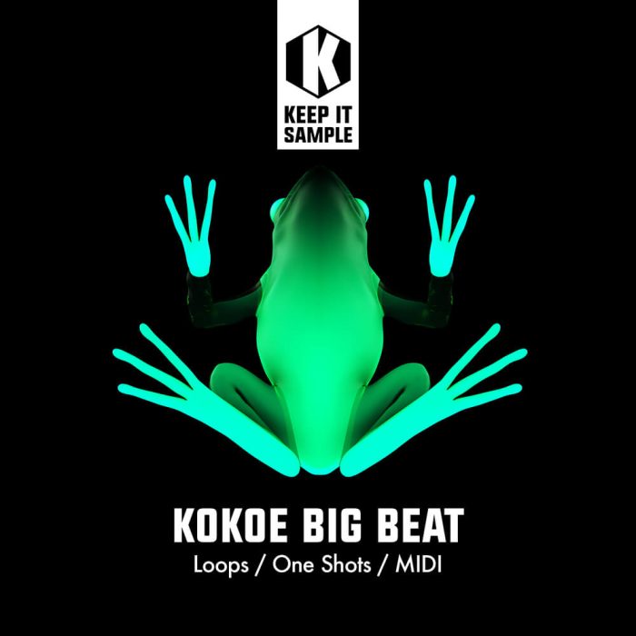 Keep It Sample Kokoe Big Beat