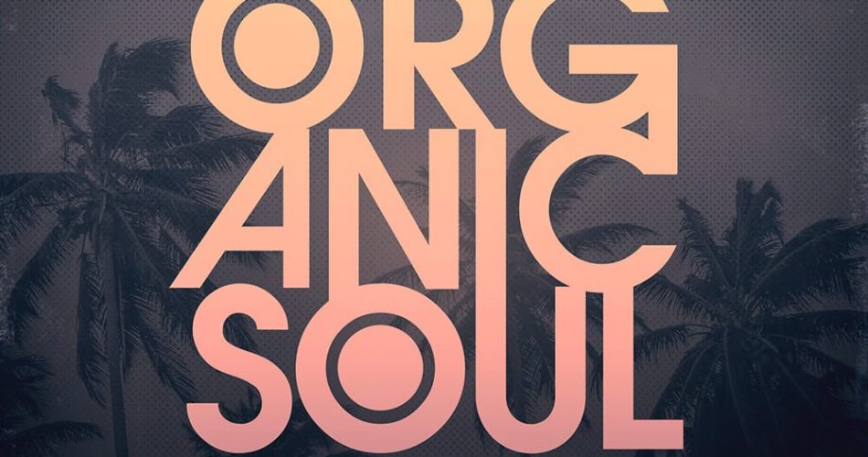Looptone Lack of Afro Organic Soul Vol 2