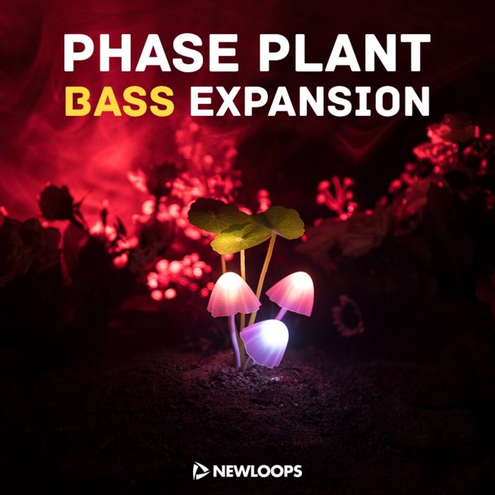 New Loops Phase Plant Bass Expansion