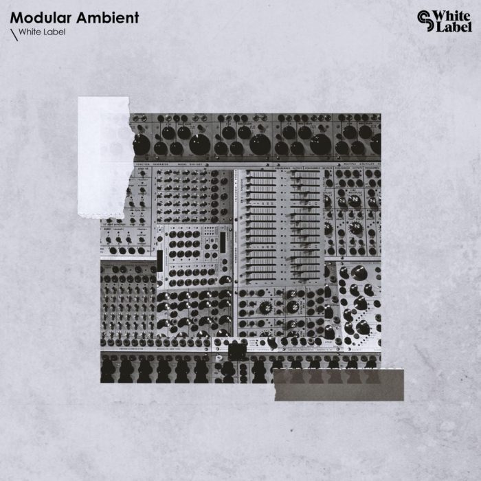 Sample Magic Modular Ambient