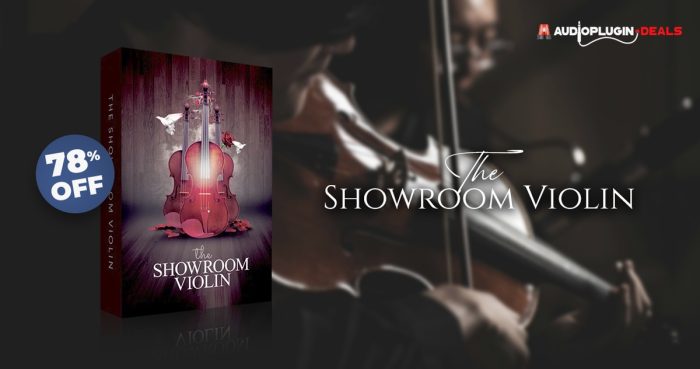 APD Showroom Violin