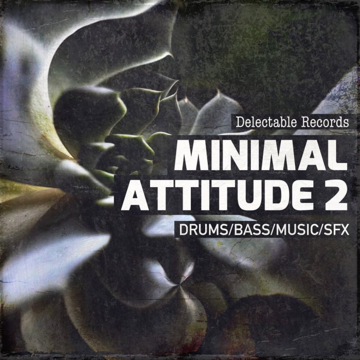 Delectable Records Minimal Attitude 2