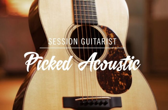 NI Session Guitarist Picked Acoustic