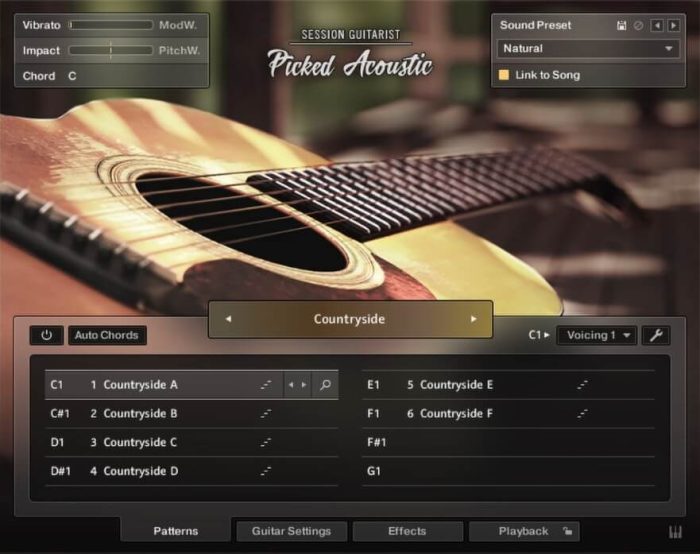 NI Session Guitarist Picked Acoustic GUI