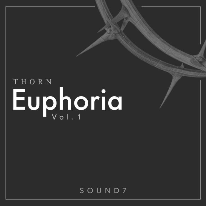 Sound7 Euphoria for DS Audio Thorn