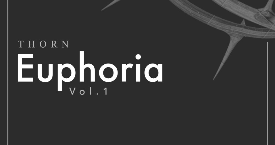 Sound7 Euphoria for DS Audio Thorn