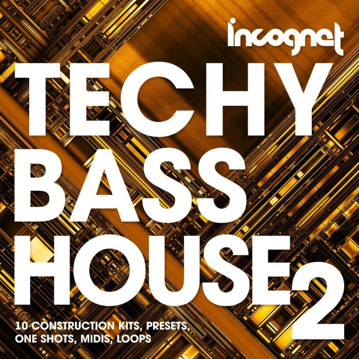 Incoget Techy Bass House 2