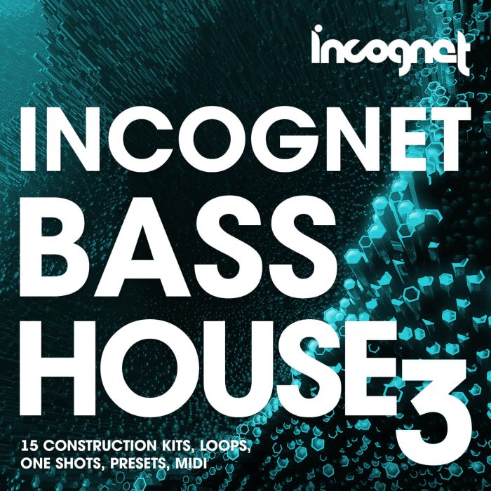 Incognet Bass House 3
