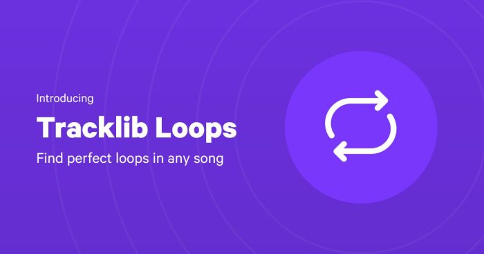 Tracklib Loops