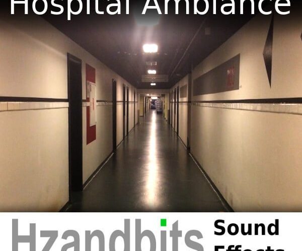 Hzandbits Hospital Ambiance