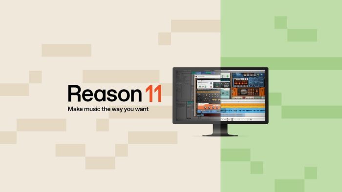 Reason 11