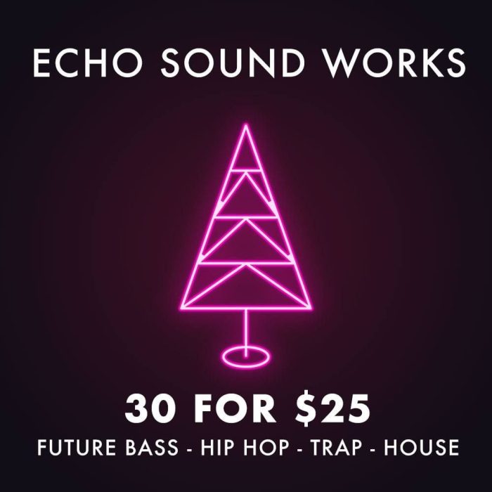 ADSR Echo Sound Works Bundle